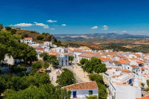 Aerial view of a white Andalusian hill town among olive groves