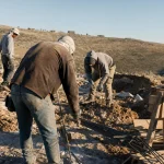 Photograph illustrating construction in Israel