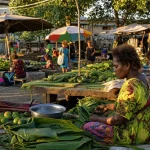 Photograph illustrating public procurement in Solomon Islands