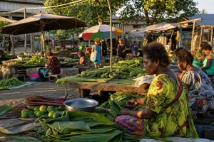 Photograph illustrating public procurement in Solomon Islands