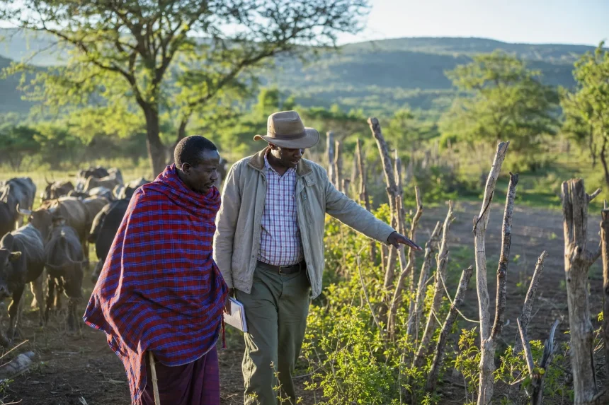 Photograph illustrating public procurement in Tanzania