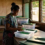 Photograph illustrating elections and public procurement in Papua New Guinea